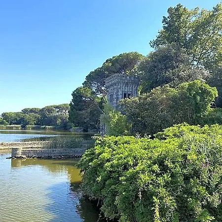 Hotel Sereno Sul Mare Mare E Cultura Viareggio