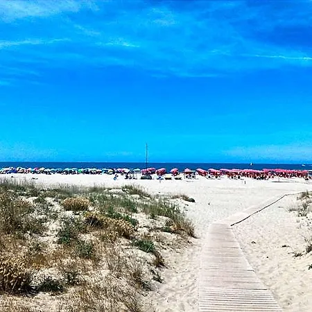 Hotel Sereno Sul Mare Mare E Cultura Viareggio